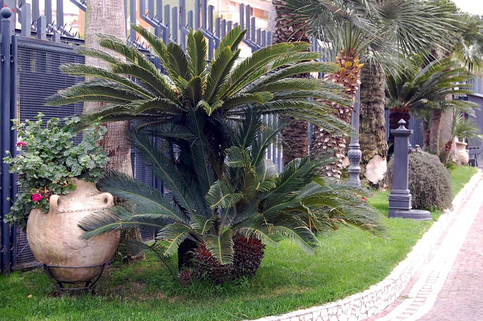 Hotel Ristorante Donato Calvizzano Exteriör bild